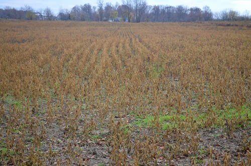 Property photo 38 - 80 Acres & Home - Property Offered in 4 Tracts from 2.3 to 30.0 Acres